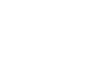 313